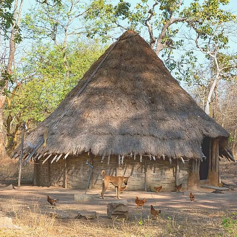 A Chenchu hut inside Amrabad Tiger Reserve