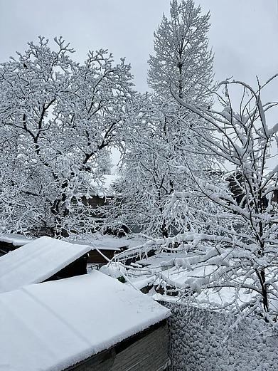 Shutterstock : Snowfall in Kashmir