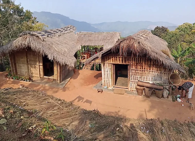 Stay within the Daribokgre Nokrek National Biosphere Reserve in Meghalaya