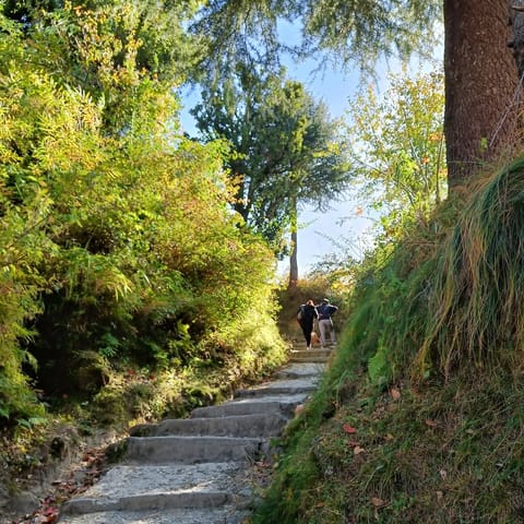 Have a rejuvenating walking holiday