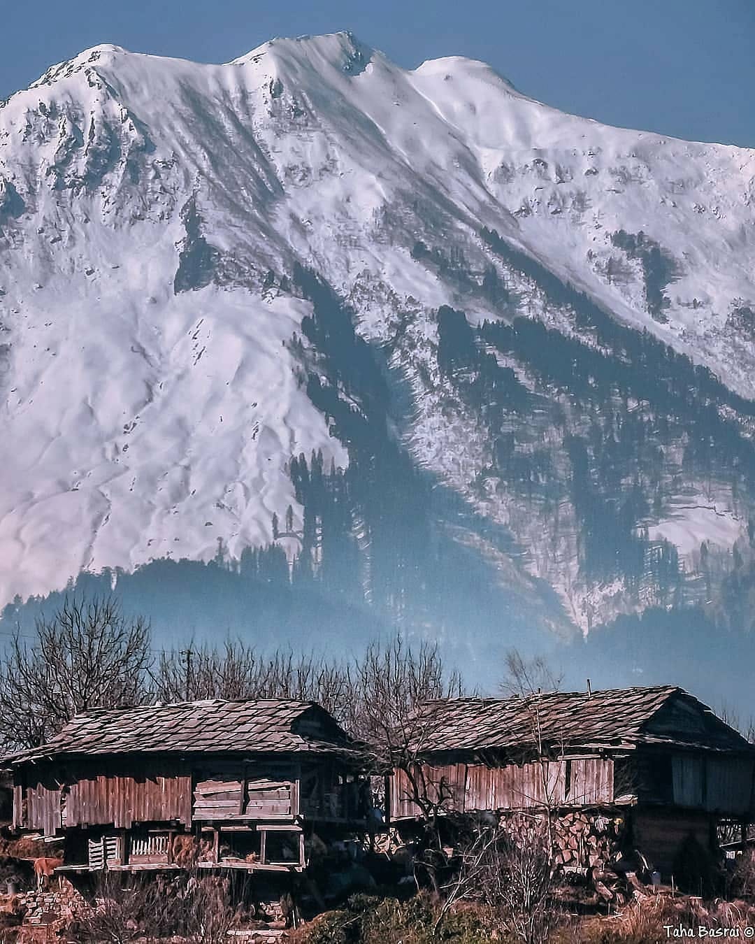 Trek to see breathtaking mountain views