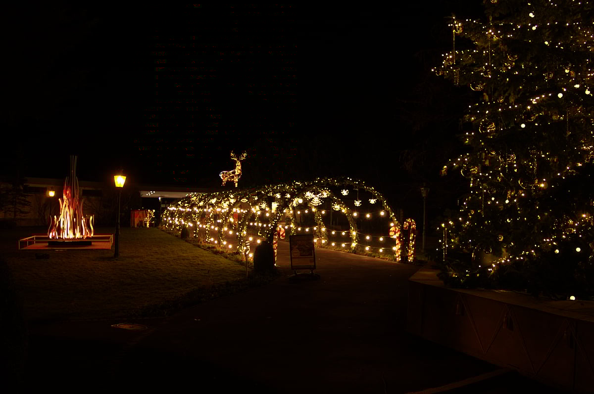 Interlaken Christmas Market