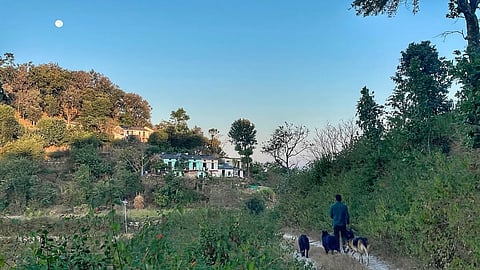 Enjoy beautiful views of the Jim Corbett National Park and Kosi River