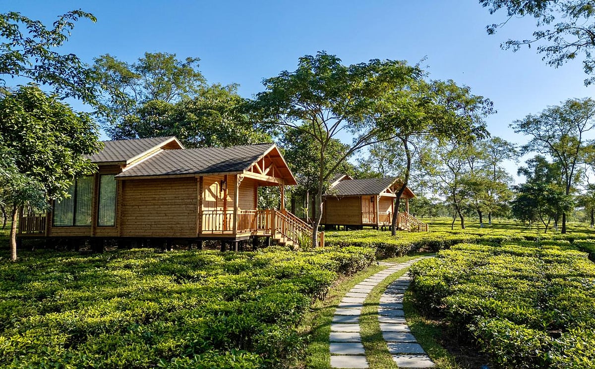 This boutique hotel combines the allure of fine tea with immersive nature experiences