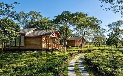 This boutique hotel combines the allure of fine tea with immersive nature experiences