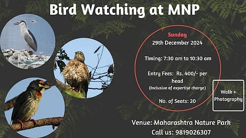 A birdwatching session at the Maharashtra Nature Park will take place this weekend