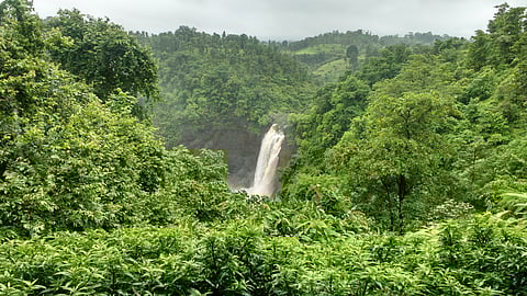 A waterfall in Palghar, Maharashtra
