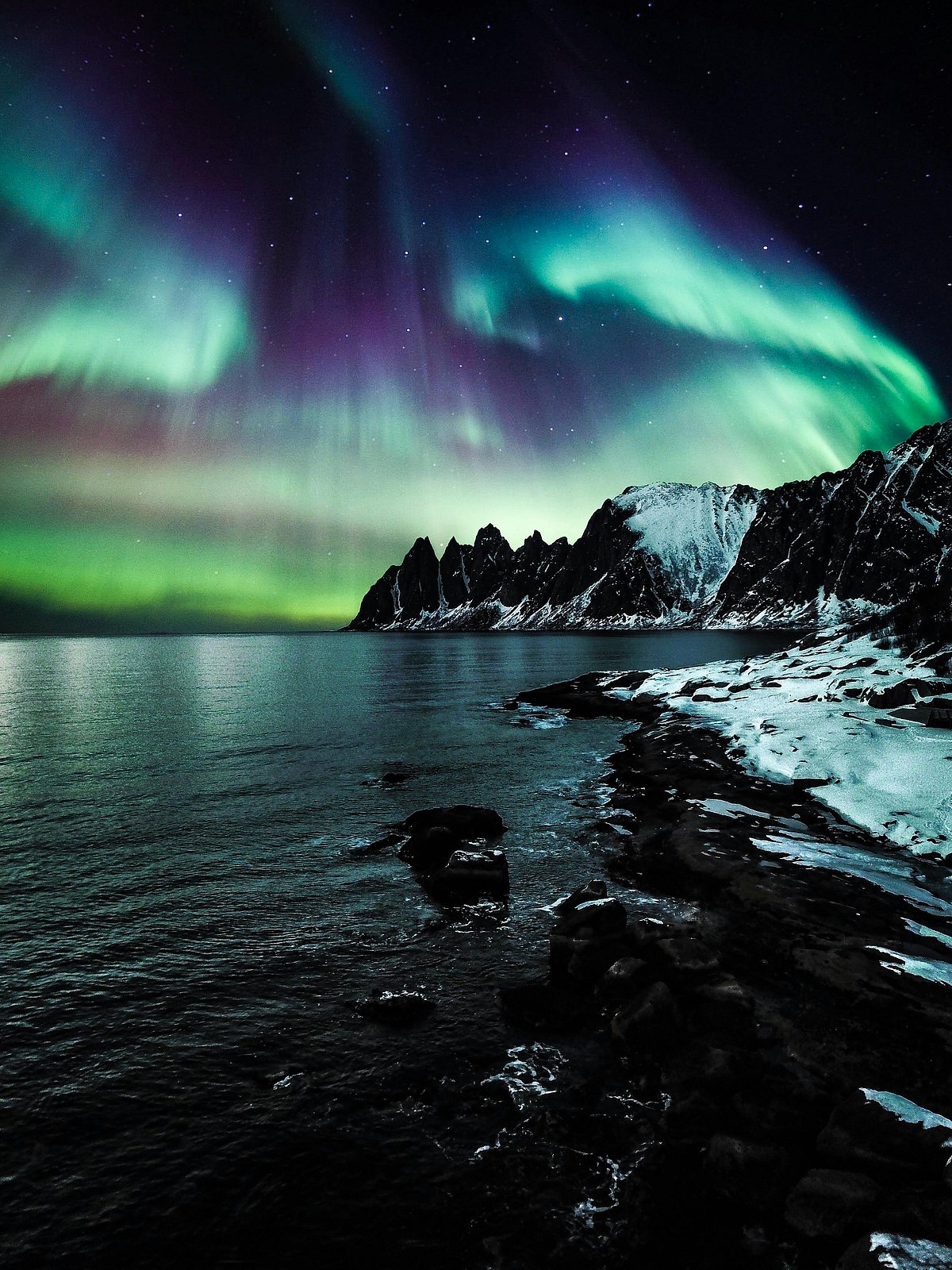 Pexels : A stunning view of the Northern Lights
