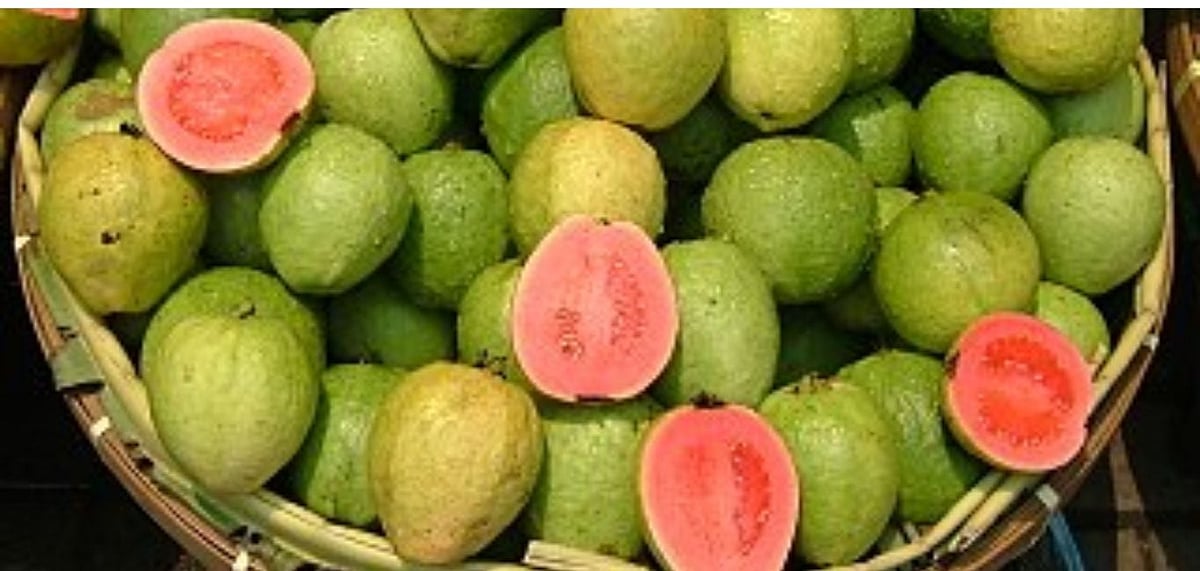 Red Guavas