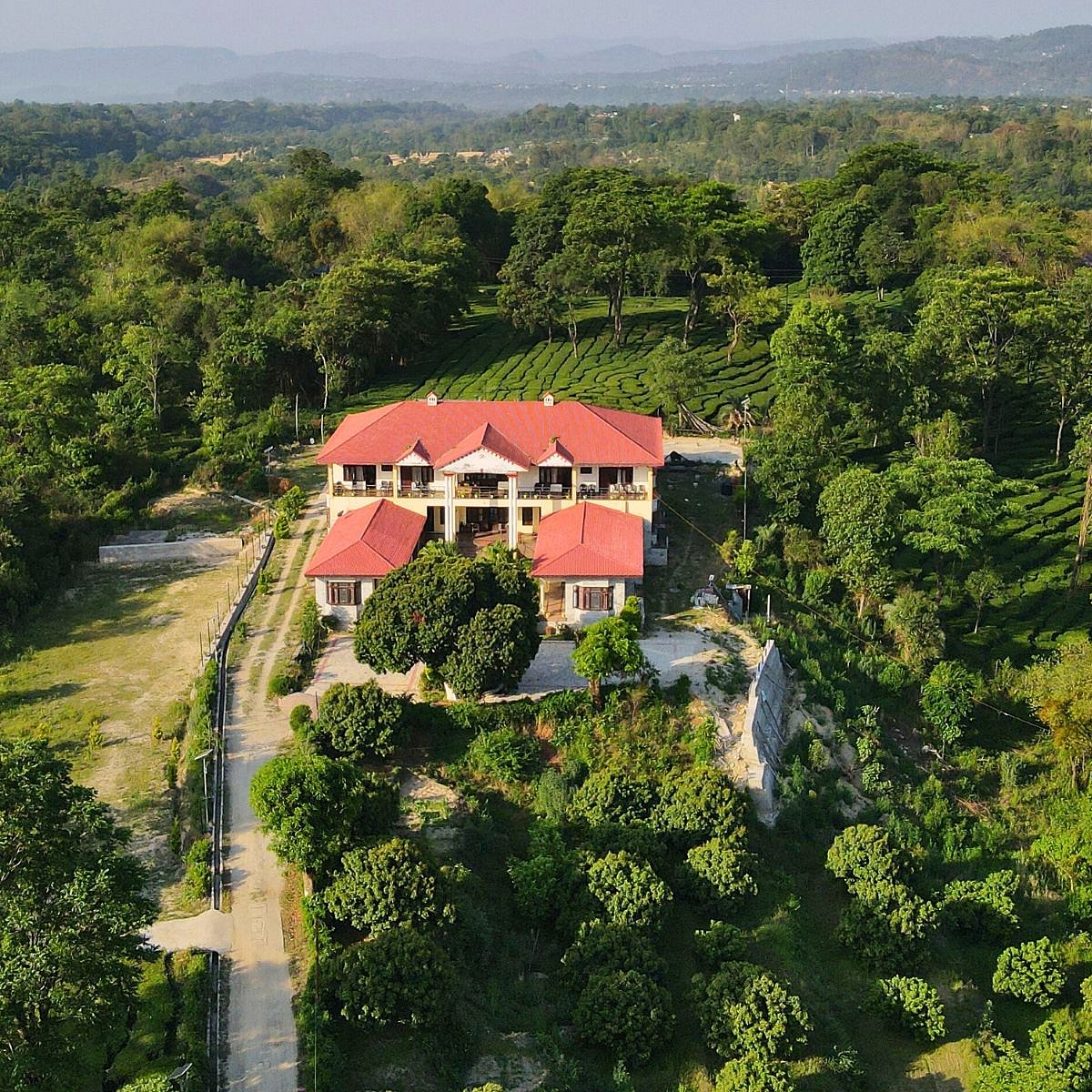 Seclude Tea Estate, Palampur