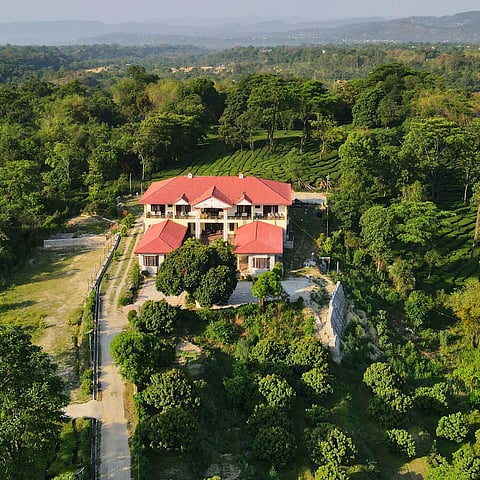 Seclude Tea Estate, Palampur