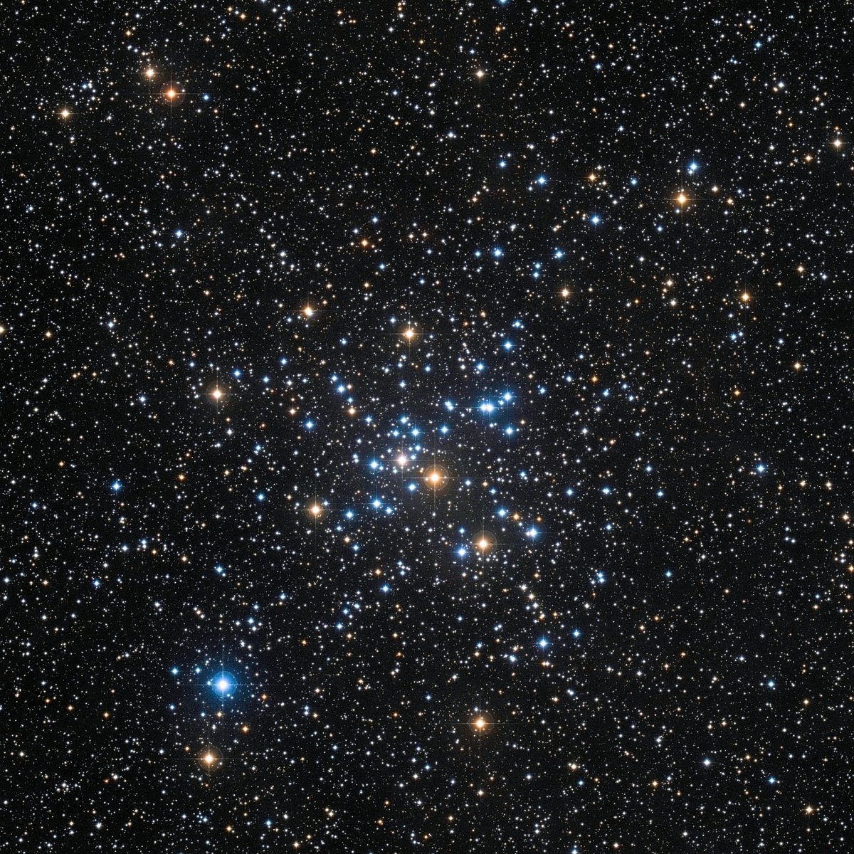 M41, NGC 2287 