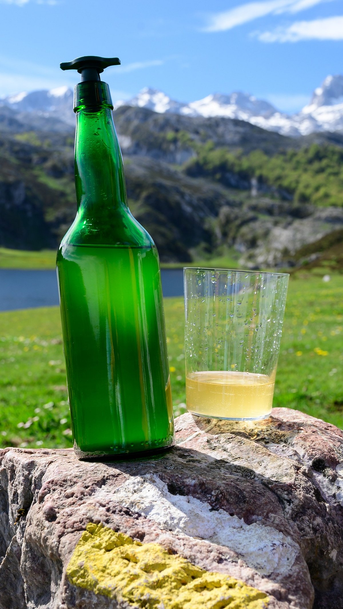 Asturian Cider