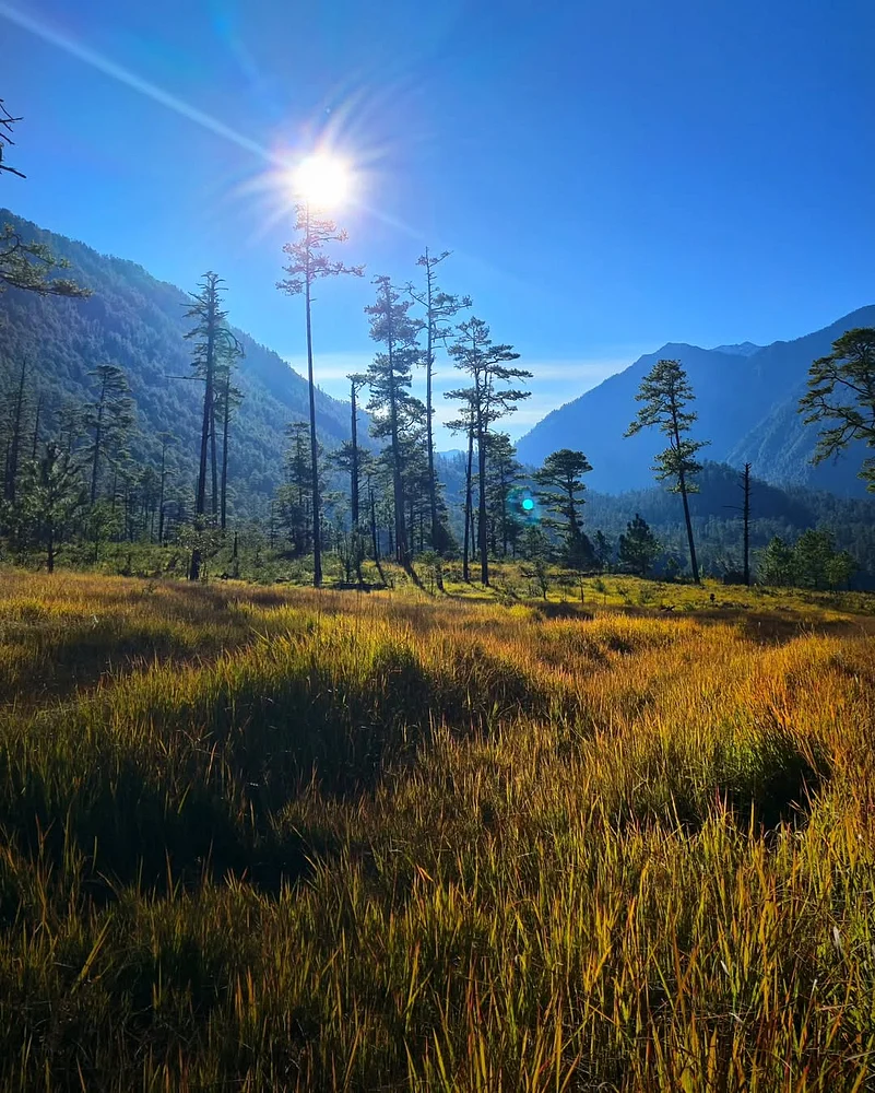 The area boasts expansive open valleys blanketed by a lush carpet of tall grasses