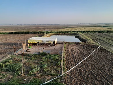 Shutterstock : Buxar