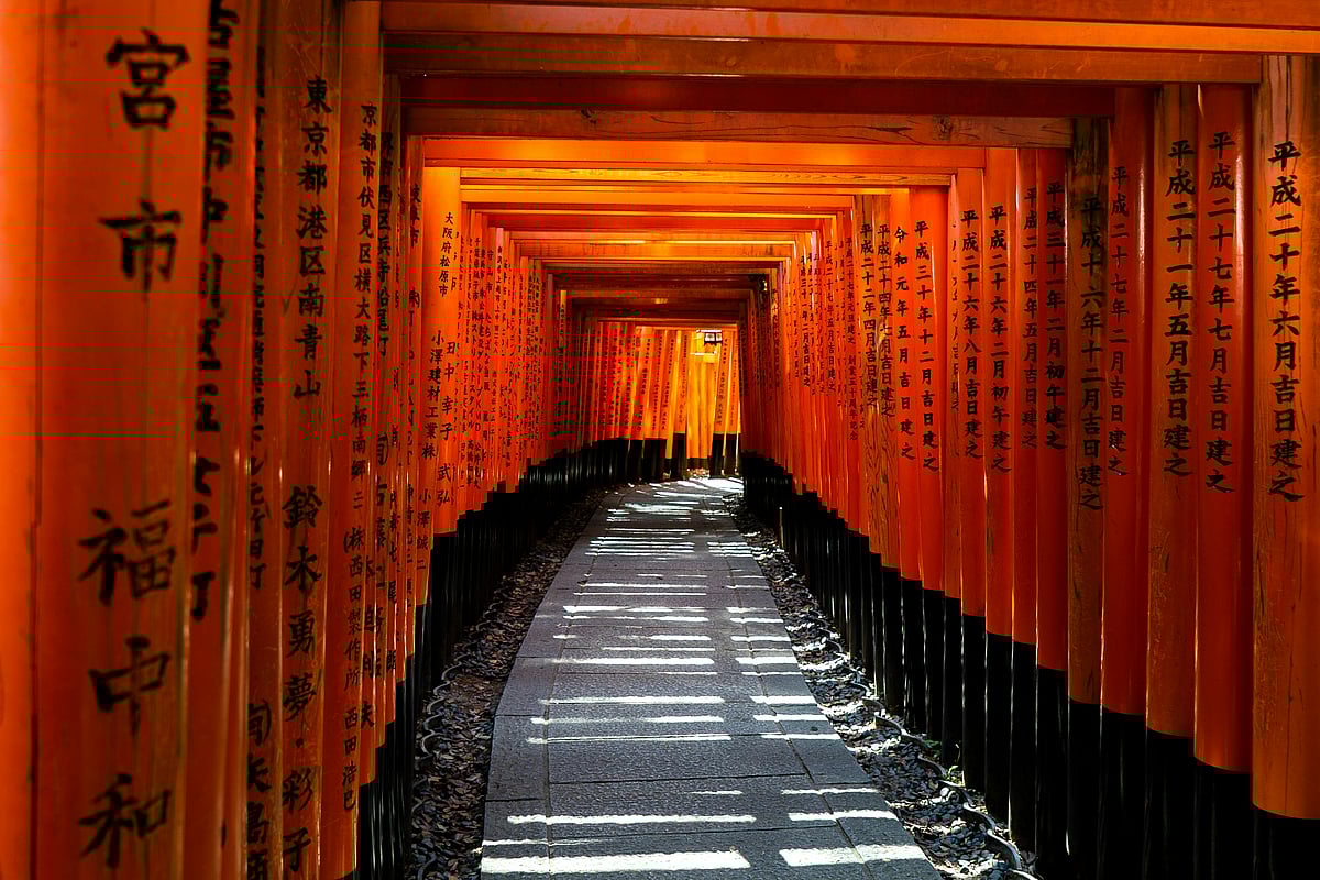 Photo by David Emrich on Unsplash : Fushimi Inari Shrine, Kyoto