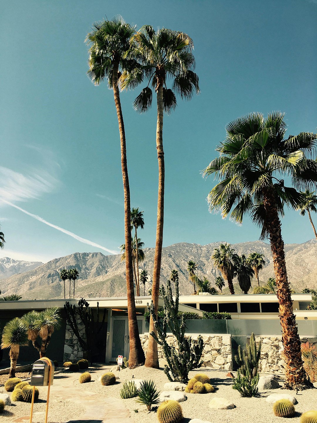 A shot of the landscape of Palm Springs, California