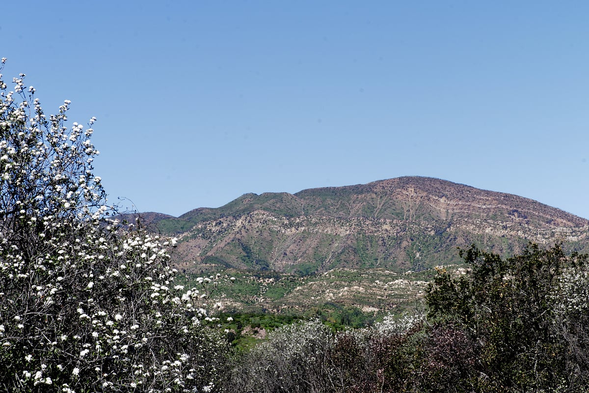 The Valley View Preserve’s rugged foothills provides one of Ojai’s most scenic backdrops