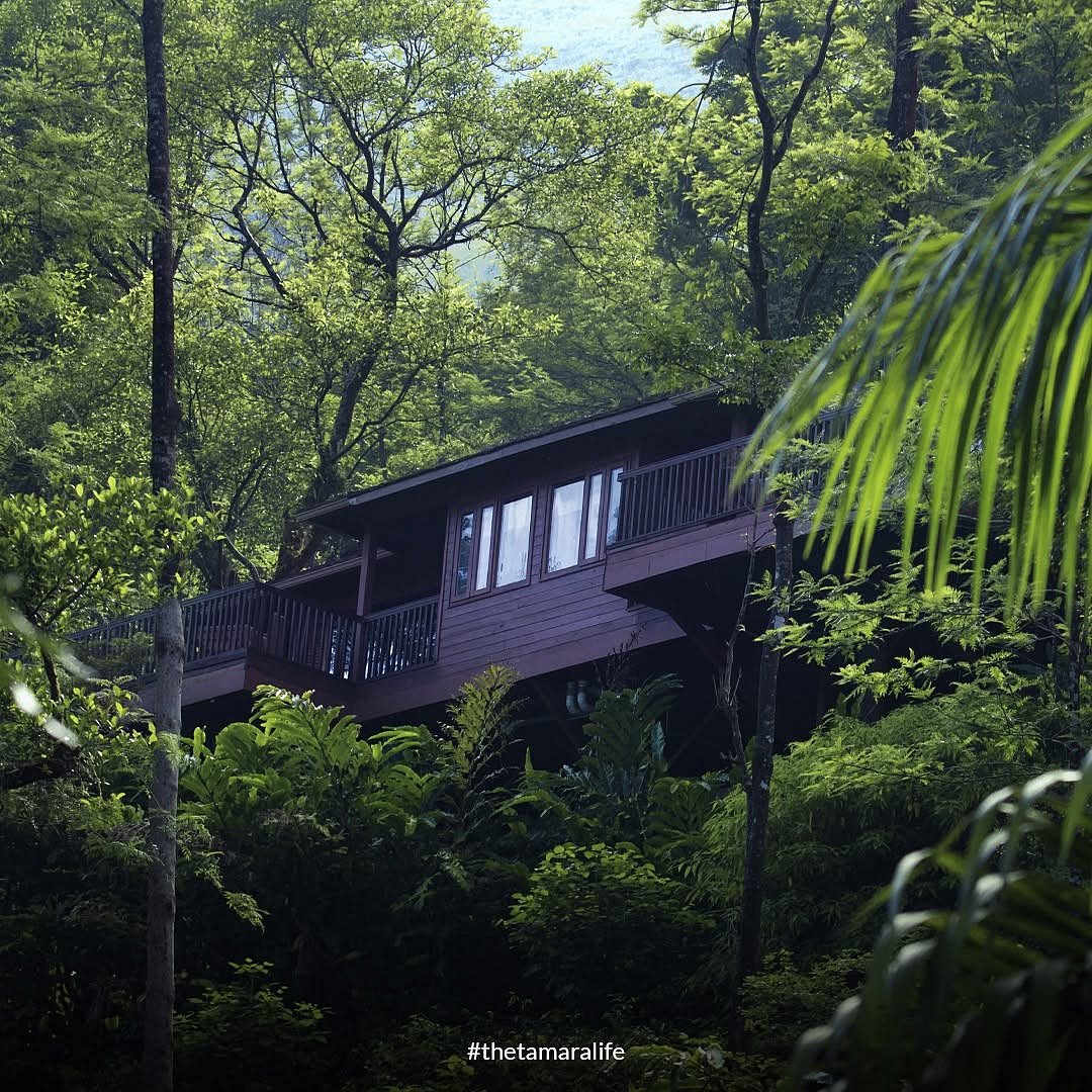 Immerse in forest therapy at the resort