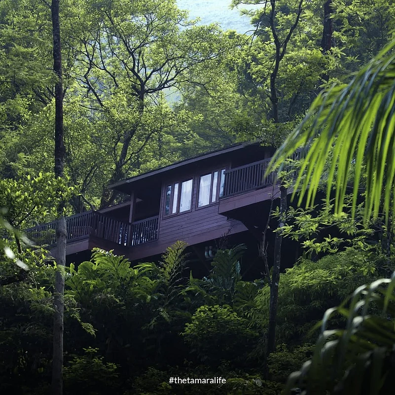 Immerse in forest therapy at the resort