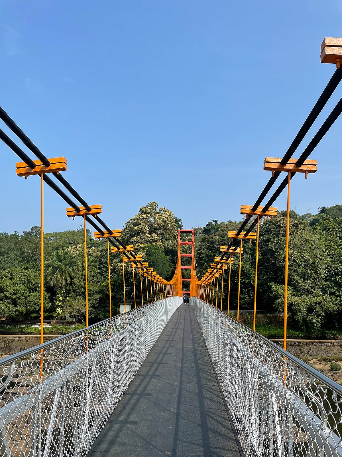 Stepping onto the Hanging Bridge