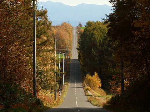 The Roller Coaster Road of Hokkaidō in autumn