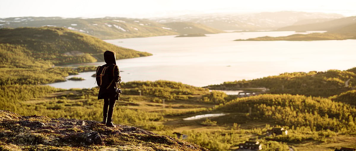 Hardangervidda National Park 