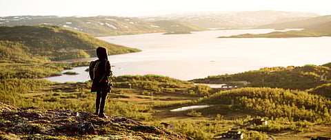 Hardangervidda National Park