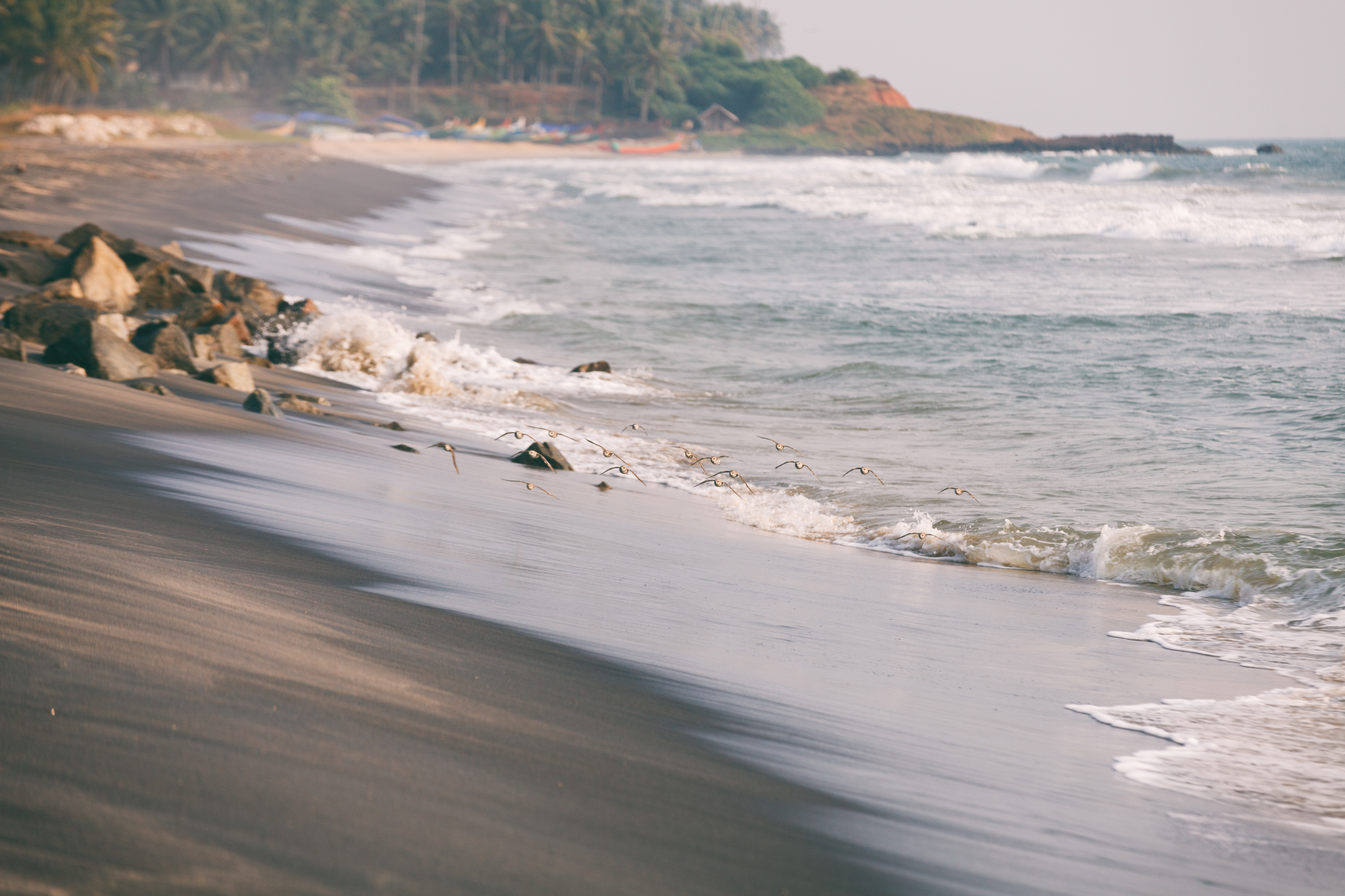 Black sand beach in Varkala
