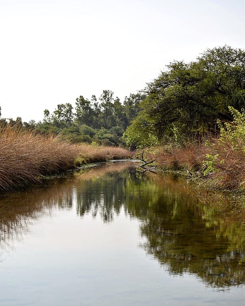 A look at the Van Vihar Wildlife Sanctuary