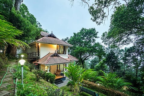 Enjoy an atmospheric stay at Violet Woods