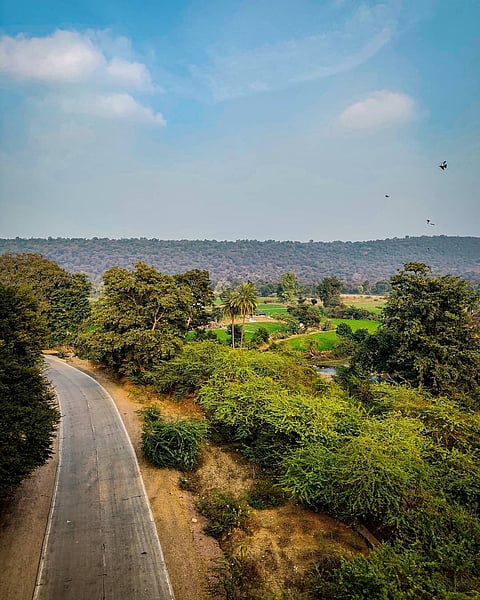 A view inside the Darrah Wildlife Sanctuary
