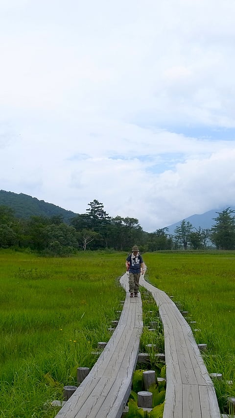 A view of Oze National Park