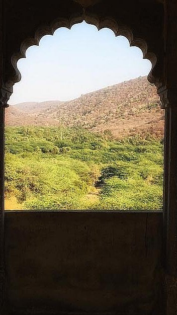 At the Ramgarh Vishdhari Wildlife Sanctuary