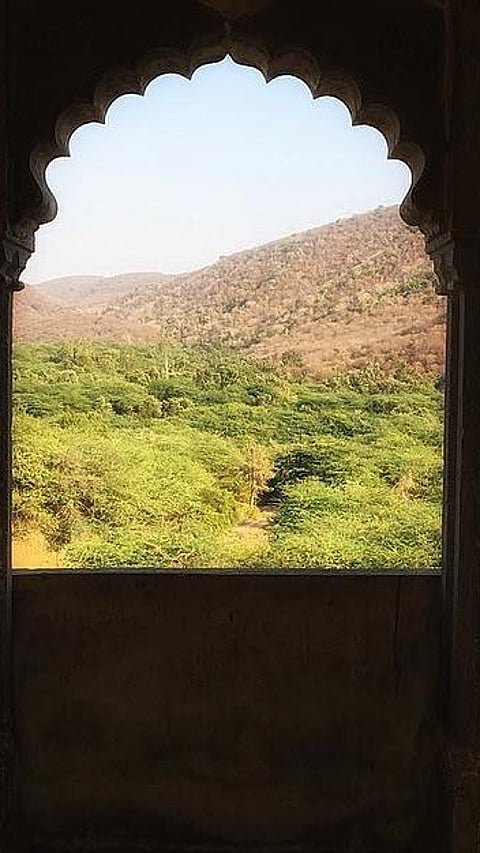 At the Ramgarh Vishdhari Wildlife Sanctuary