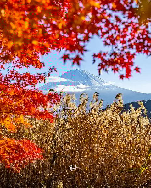 A view of Mount Fuji 