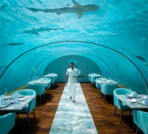 Ithaa is a six-metre underwater restaurant that offers breathtaking 180-degree views of vibrant coral reefs and marine life through its glass dome