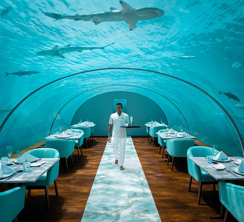Ithaa is a six-metre underwater restaurant that offers breathtaking 180-degree views of vibrant coral reefs and marine life through its glass dome