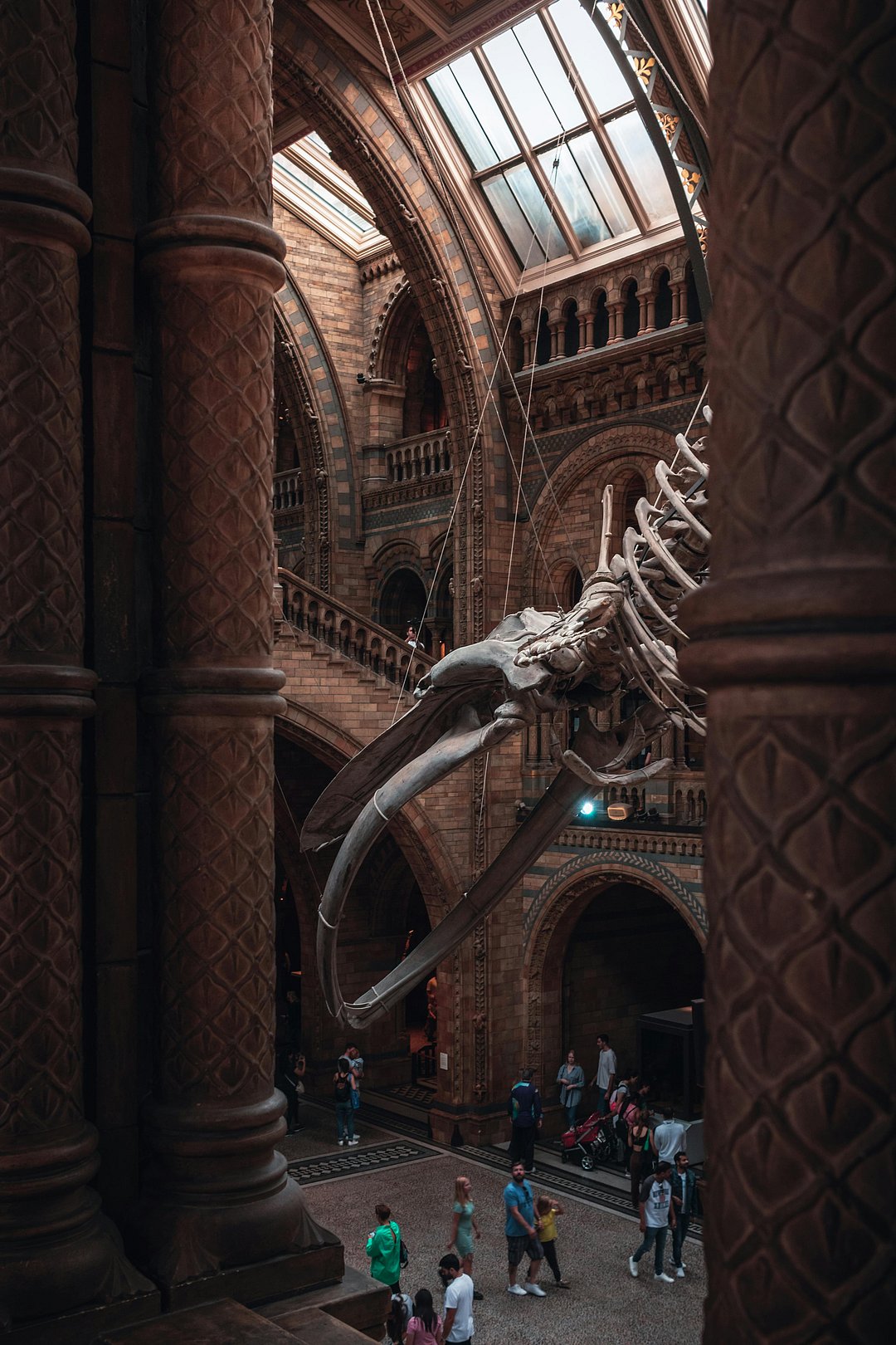 A view inside the Natural History Museum
