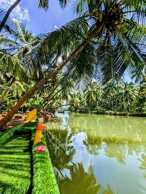 The tranquil backwaters of Honnavar