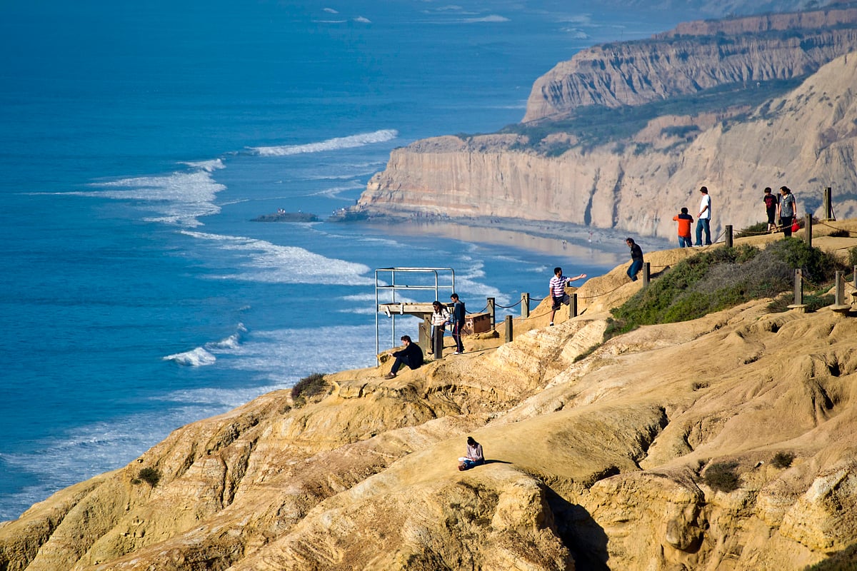 A look at the Torrey Pines State Natural Reserve