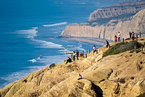 A look at the Torrey Pines State Natural Reserve