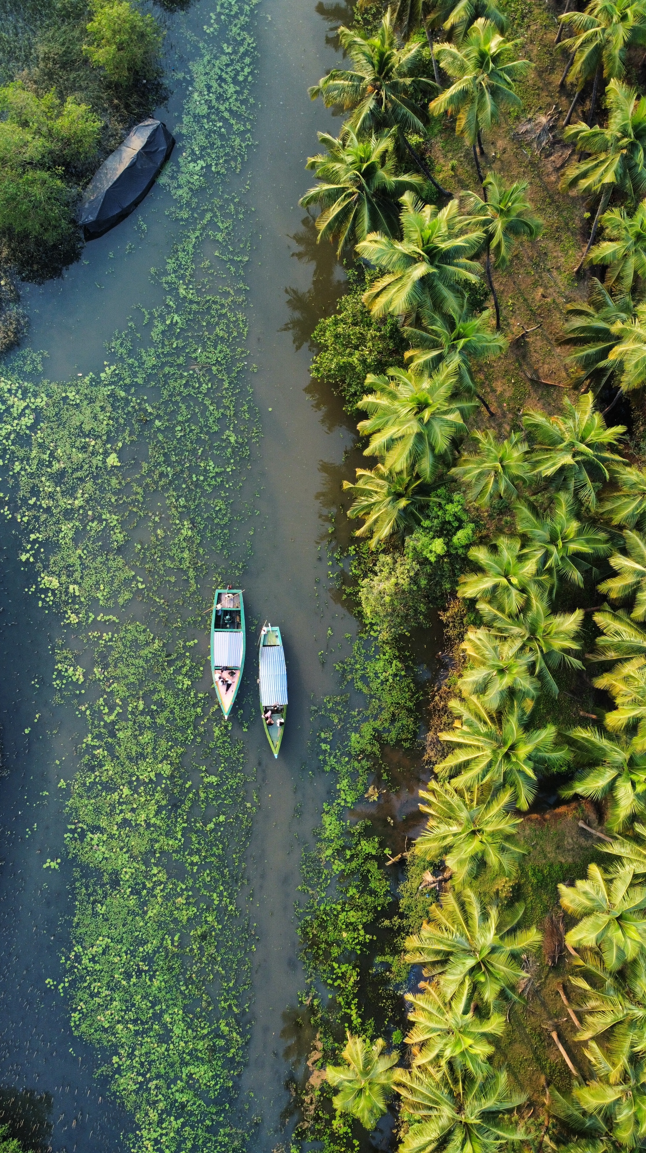 A boating experience on the Sharavathi River