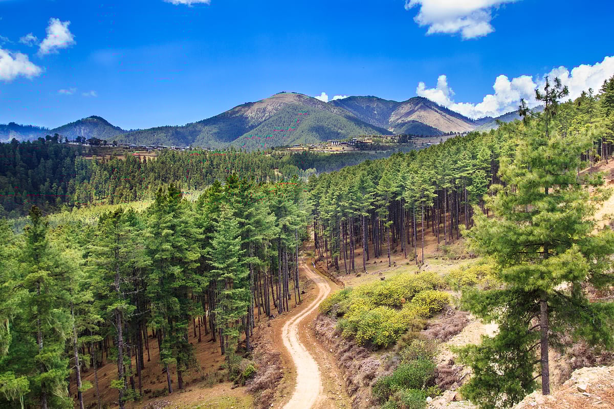 Phobjikha Valley stretches out in quiet beauty with the distant peaks of the Black Mountains rising against the horizon. Part of the Jigme Singye Wangchuck National Park, these mountains are known for their rich biodiversity and cultural importance