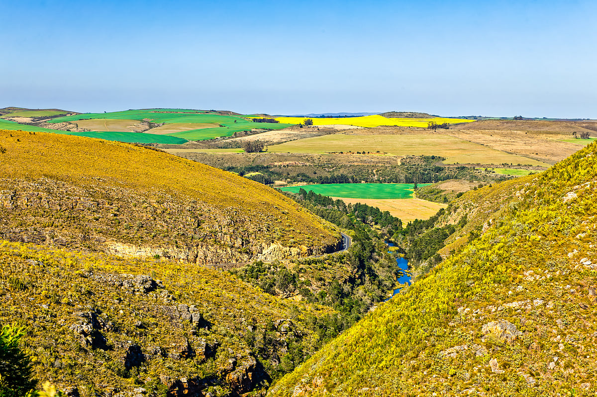 The Tradouw Pass is a stunning mountain route that offers breathtaking views, lush greenery and hidden picnic spots