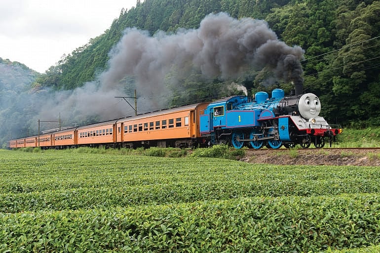 Oigawa rail occassionally plies the Thomas Tank Engine