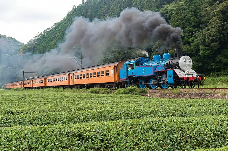 Oigawa rail occassionally plies the Thomas Tank Engine