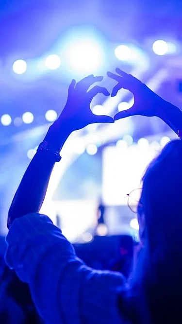 Shutterstock : People at a music concert