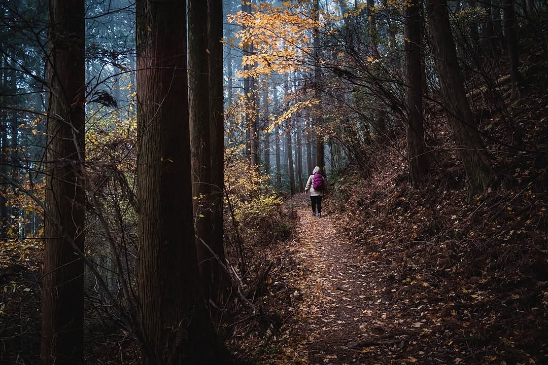 Seasonal fervour at Kumano Kodo