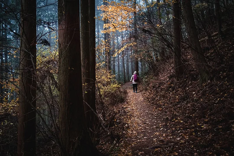 Seasonal fervour at Kumano Kodo